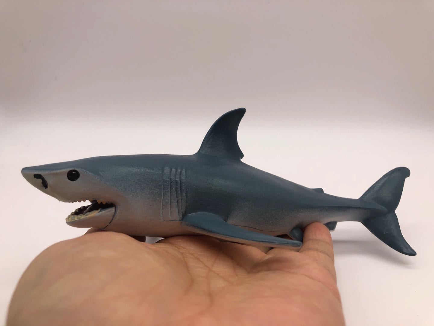 儿童认知海洋动物模型 鲨鱼 虎鲸海洋塑胶玩具,实心海洋动物摆件